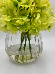 Green hydrangea, rose vase