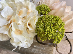 Hydrangea, mixed container