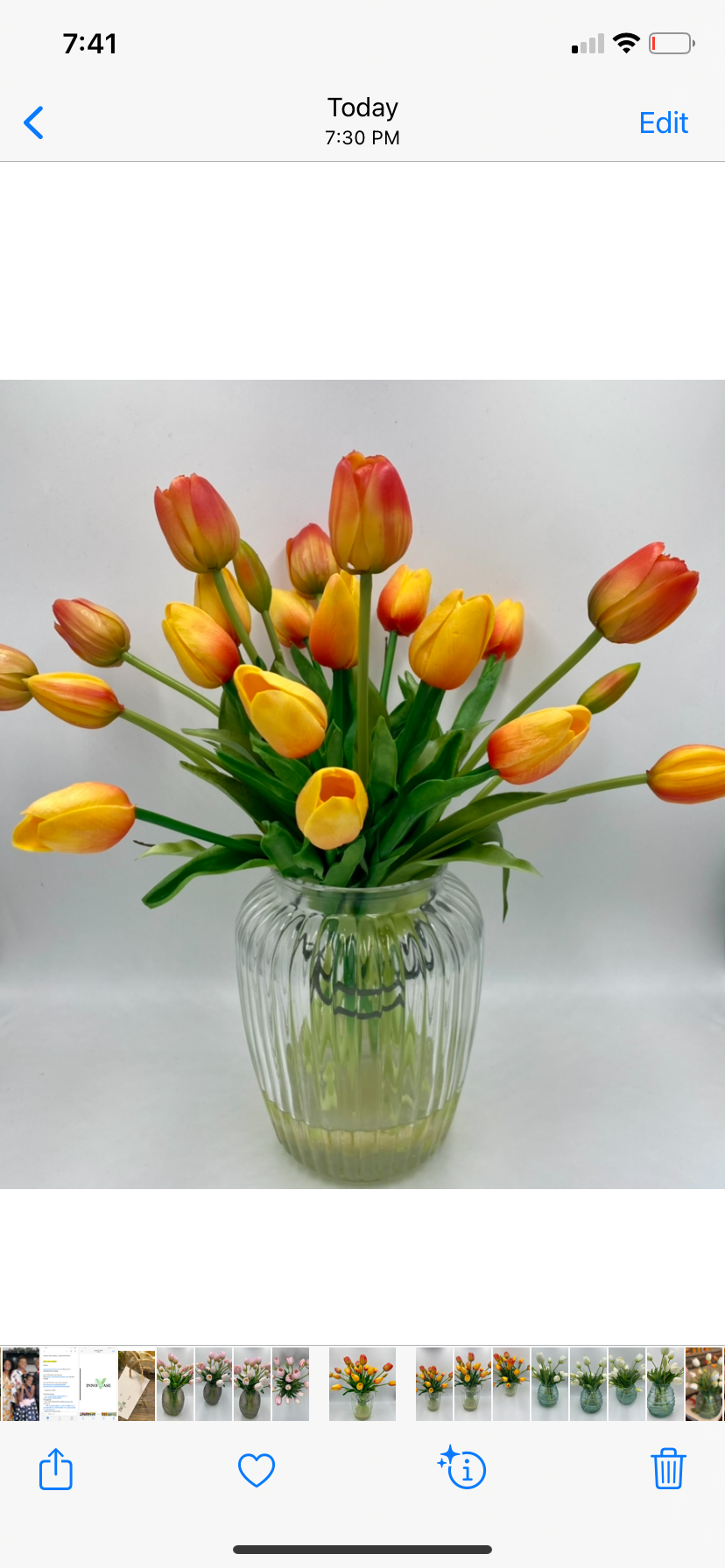 Orange tulips