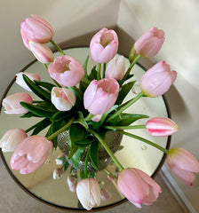 Pink tulips